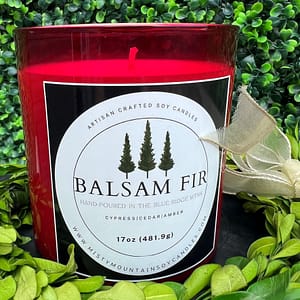 balsam fir