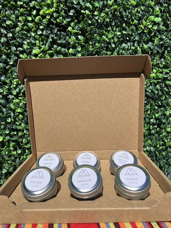 Choose any 6 soy candles hand poured in Asheville nc